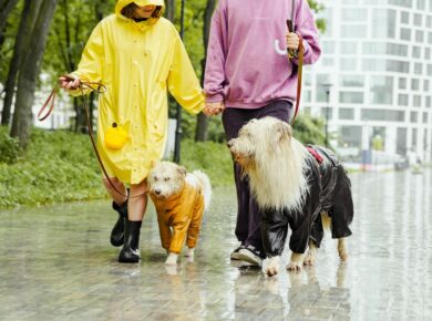 mudanças bruscas de clima