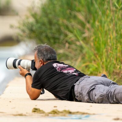 Para interpretar enunciados científicos na Biologia, é crucial dominar a terminologia específica, compreender a estrutura lóg