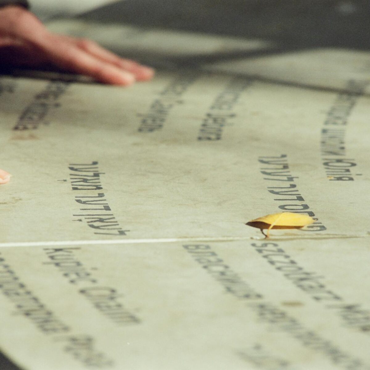 Para Denotação vs. Conotação, o sentido das palavras altera a interpretação fundamentalmente: denotação refere-se ao signific